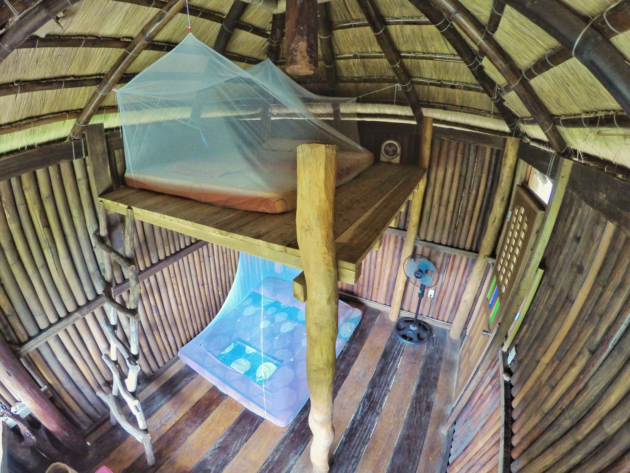 Sanctuaria Treehouses Busuanga
