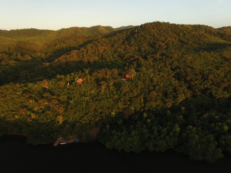 Sanctuaria Treehouses Busuanga