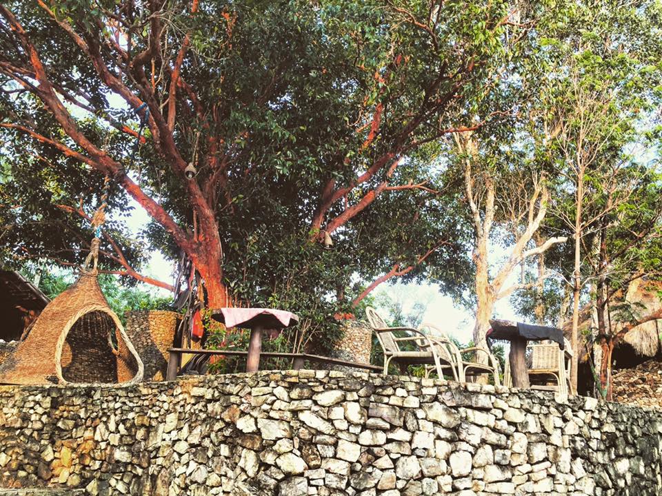 Sanctuaria Treehouses Busuanga