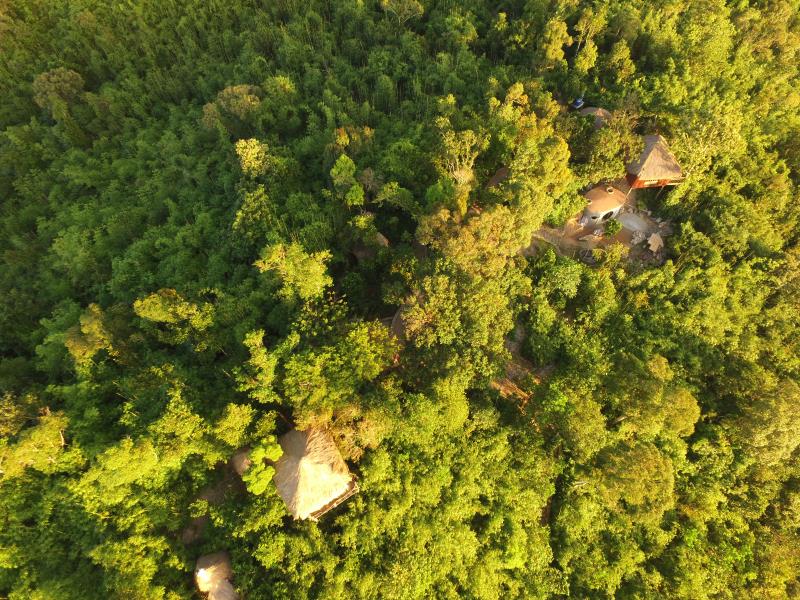 Sanctuaria Treehouses Busuanga