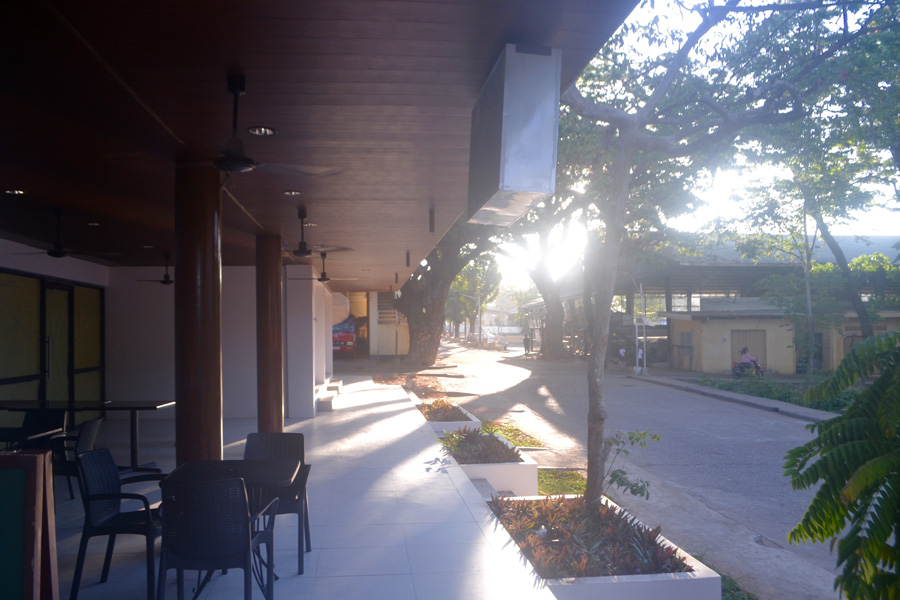 Treetop Suites