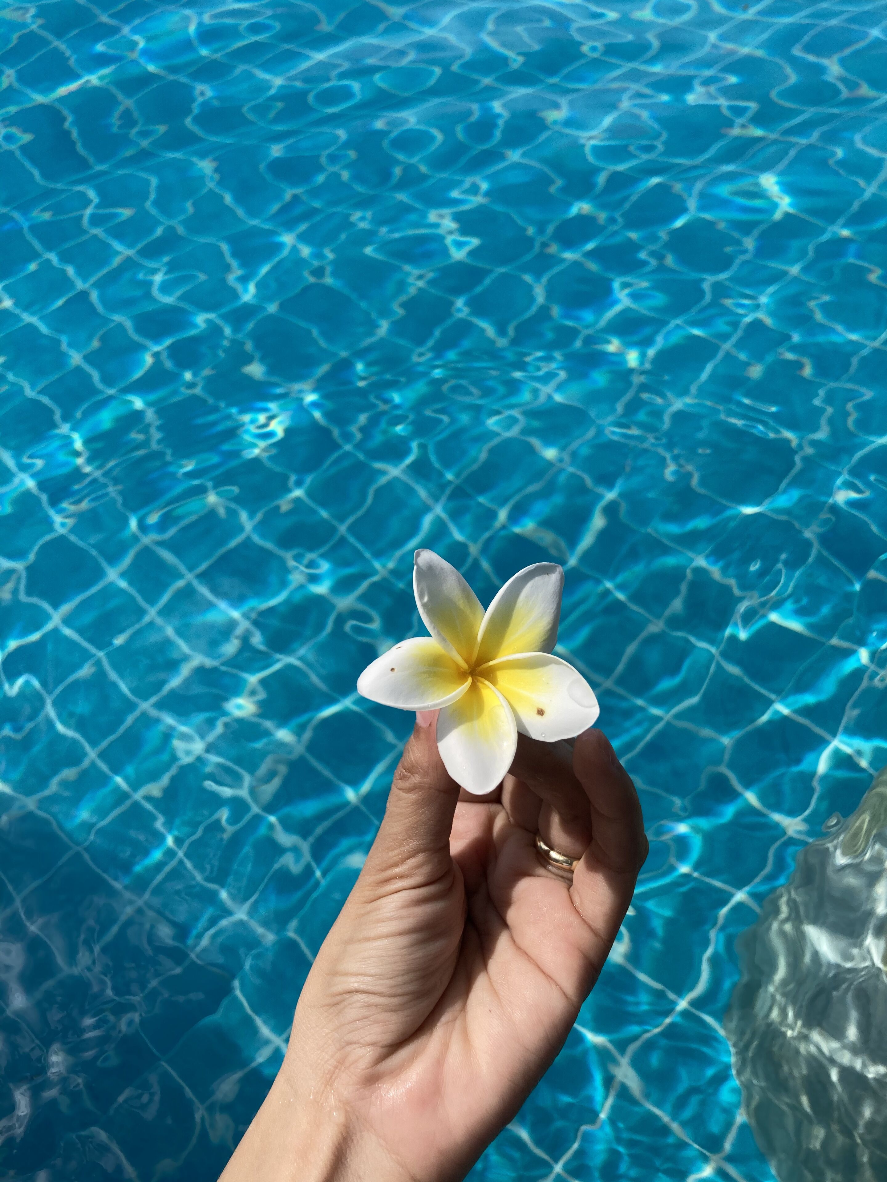 Zuri Resort
