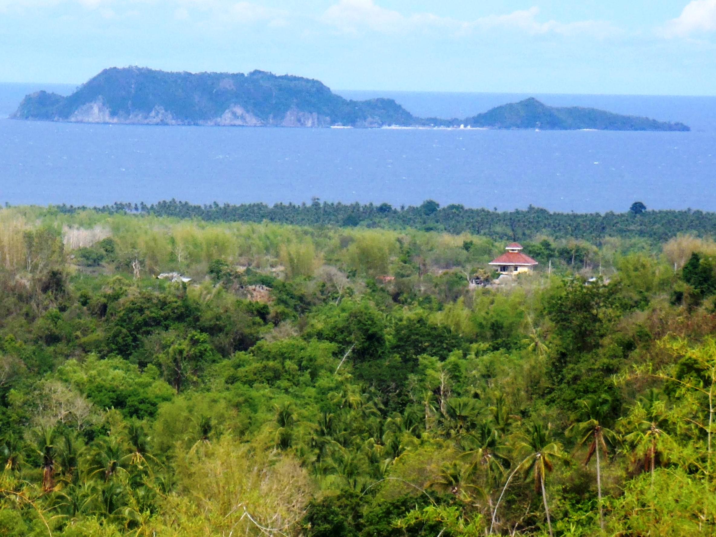 Pura Vida Beach & Dive Resort