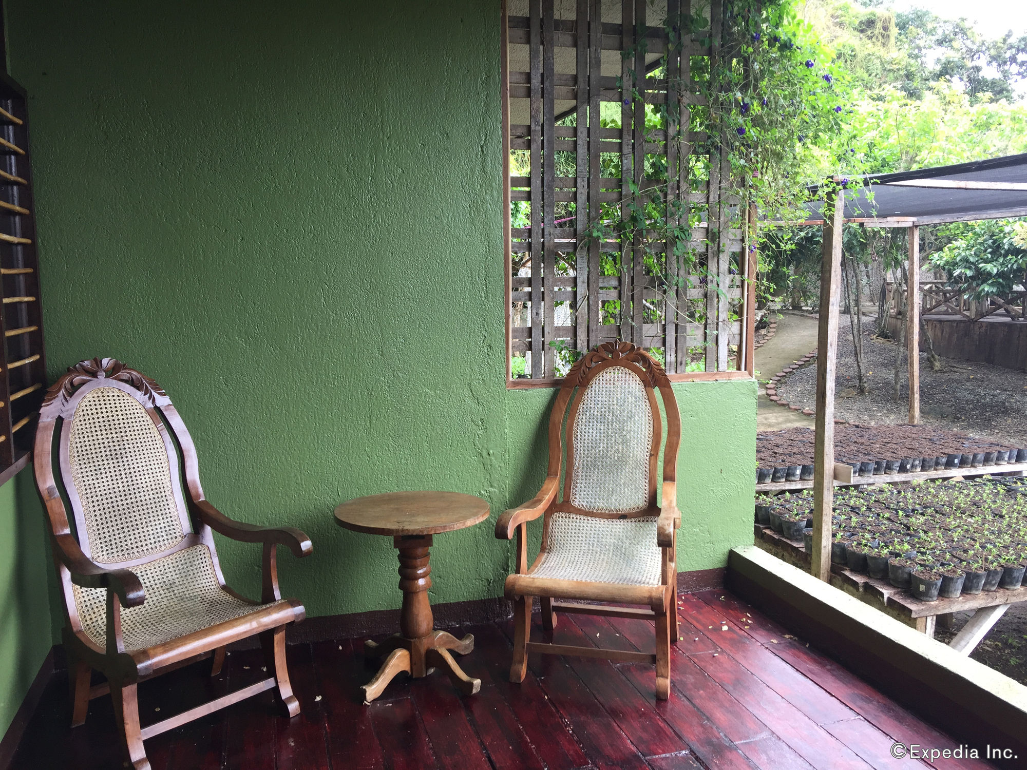 Bohol Bee Farm