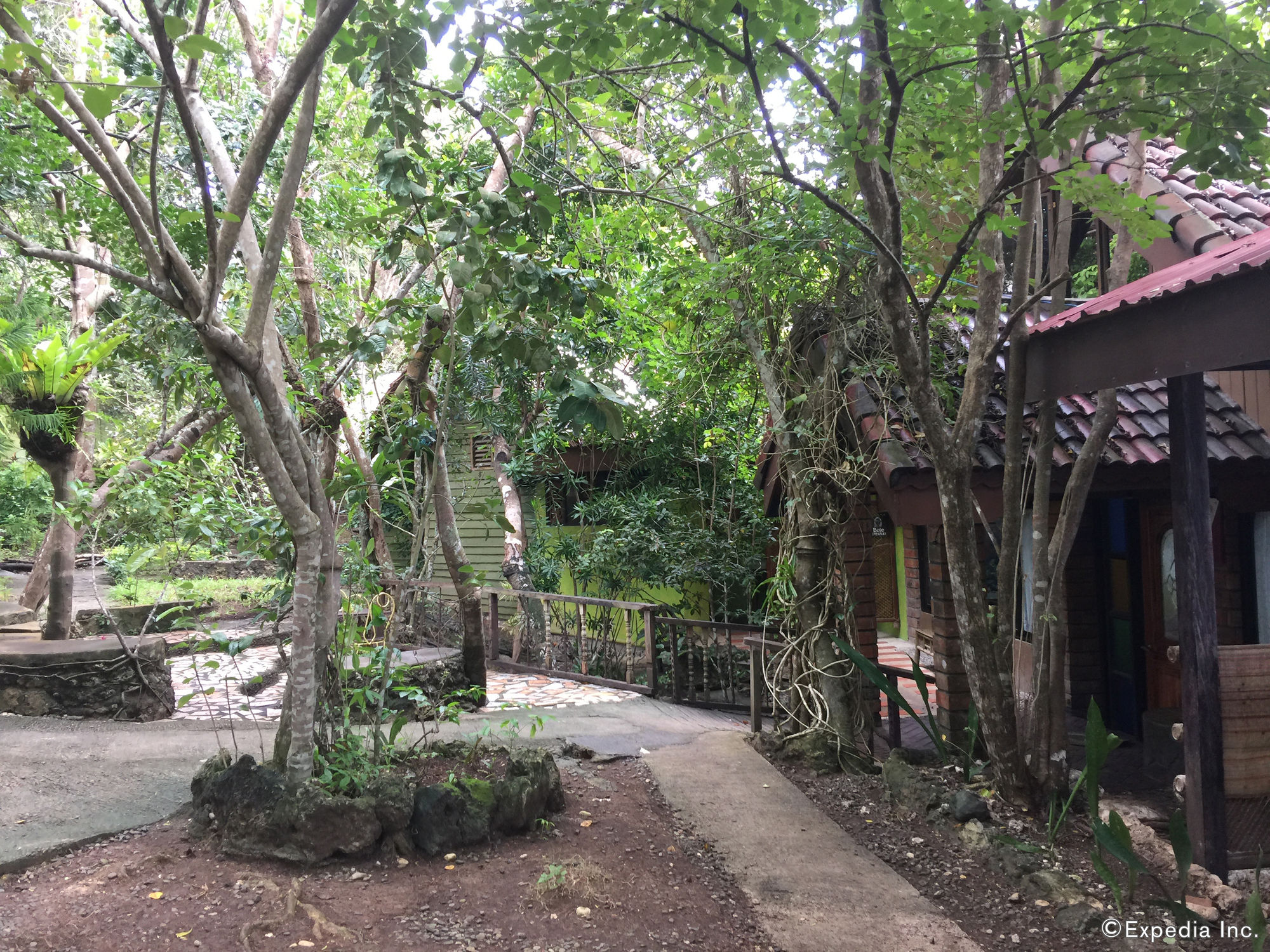 Bohol Bee Farm