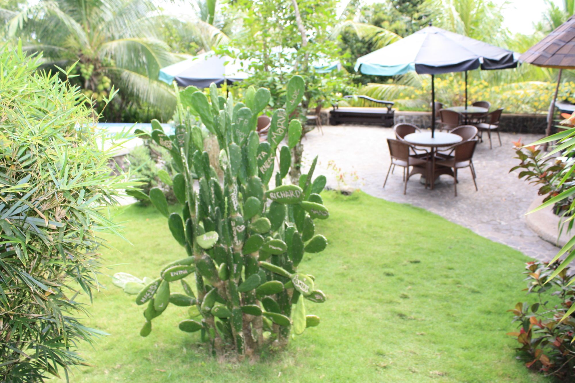G's Grand Resort and Convention Center