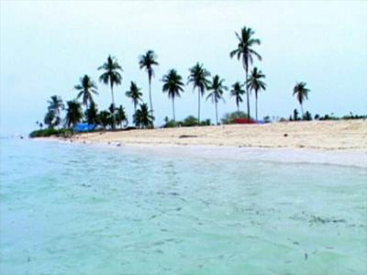 Pamilacan Island Paradise Hotel