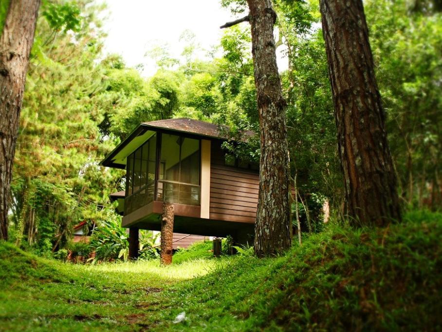 Eden Nature Park and Resort