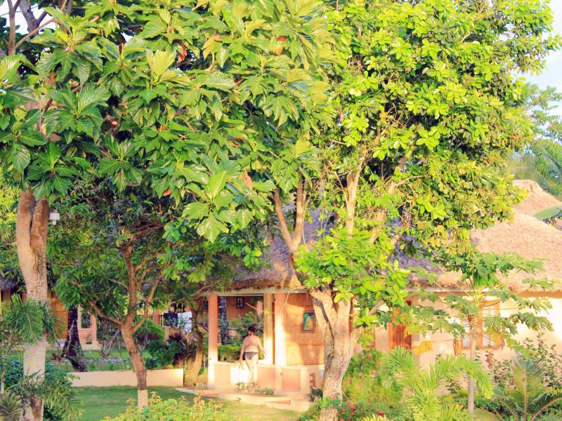 Amor Farm Beach Resort