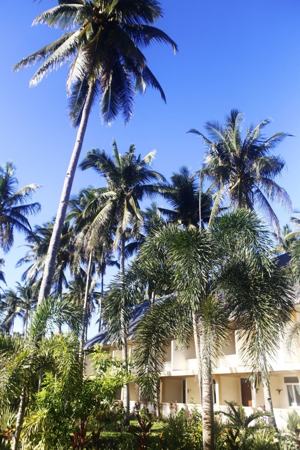 Vitton Beach Resort