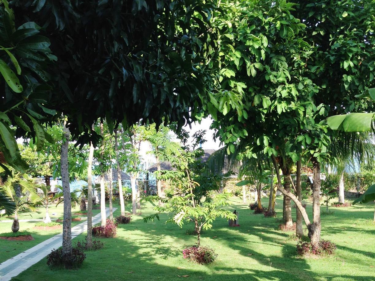 Dumaguete Springs Beach Resort