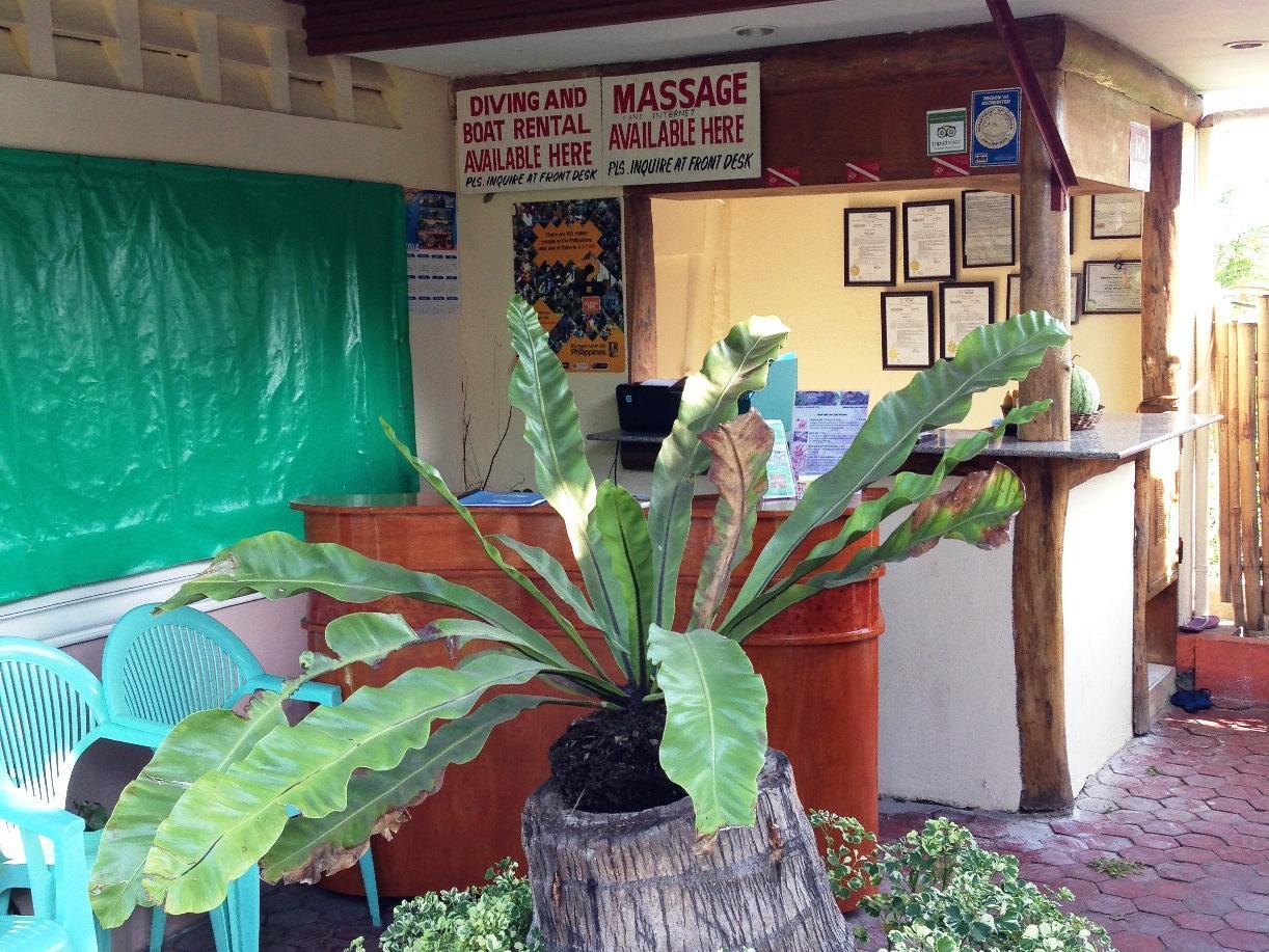 Dumaguete Springs Beach Resort