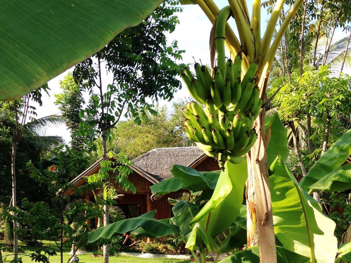Dumaguete Springs Beach Resort