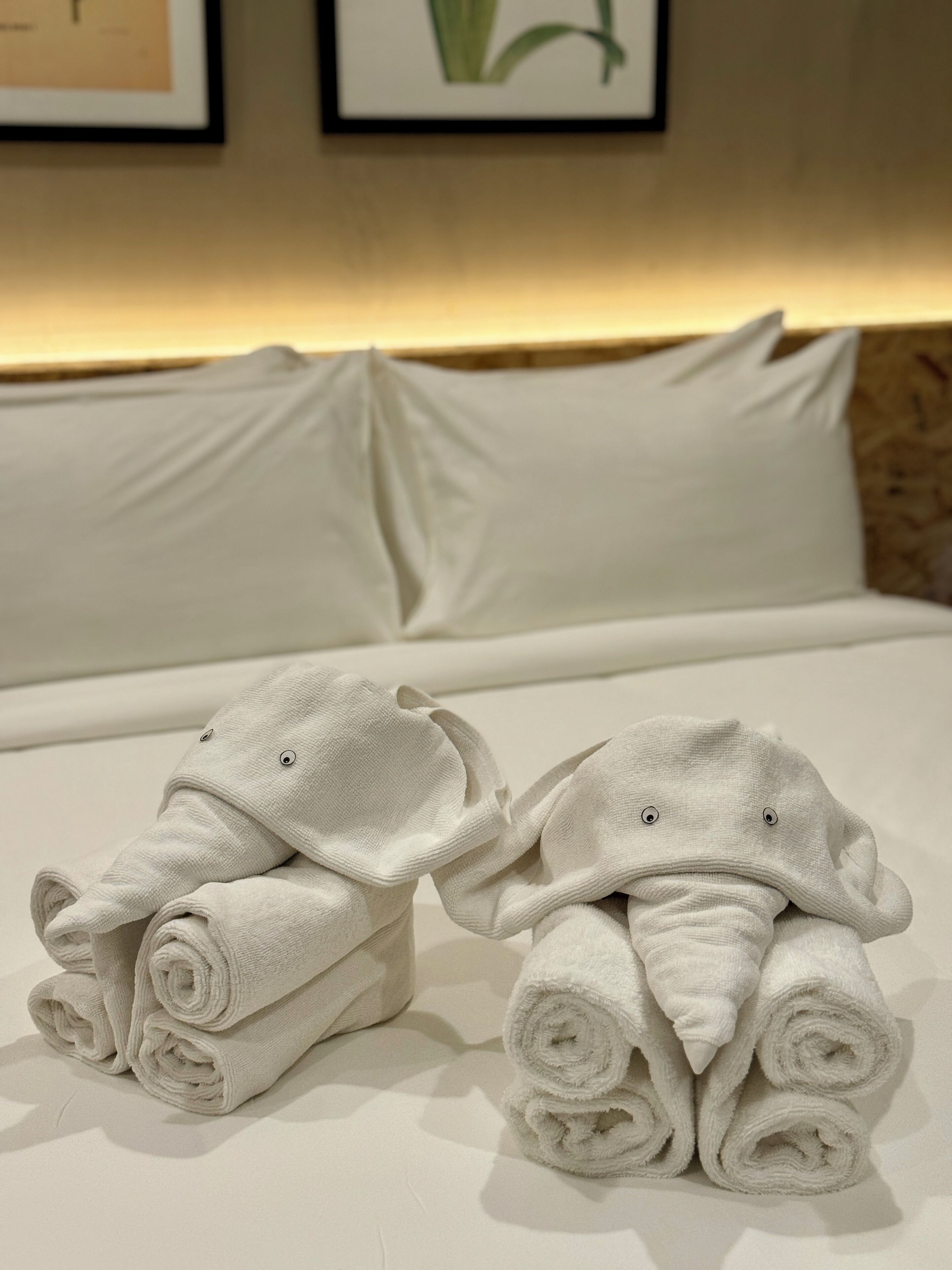 Hotel Dumaguete