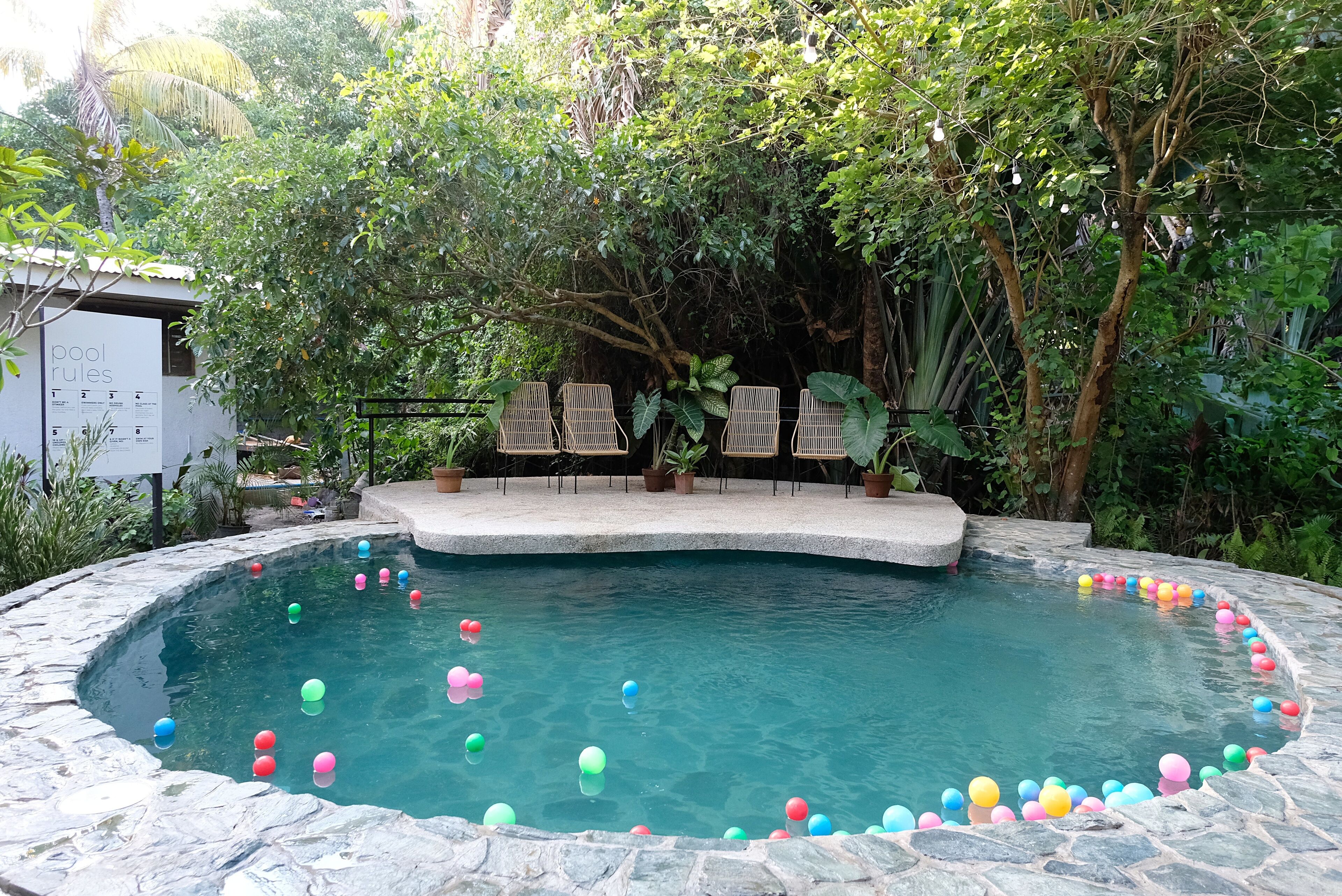 Mad Monkey Dumaguete