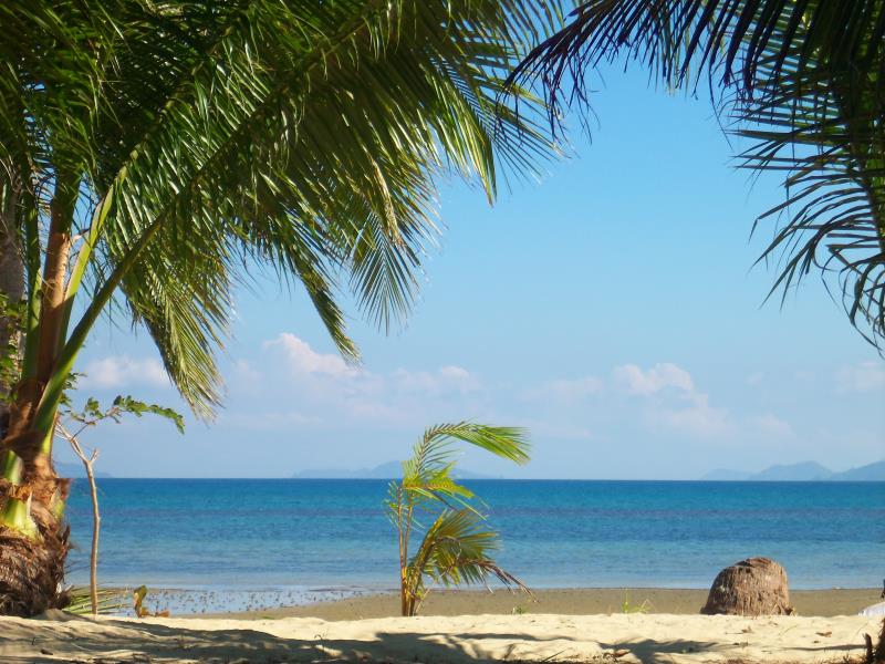 Bayog Beach Campsite