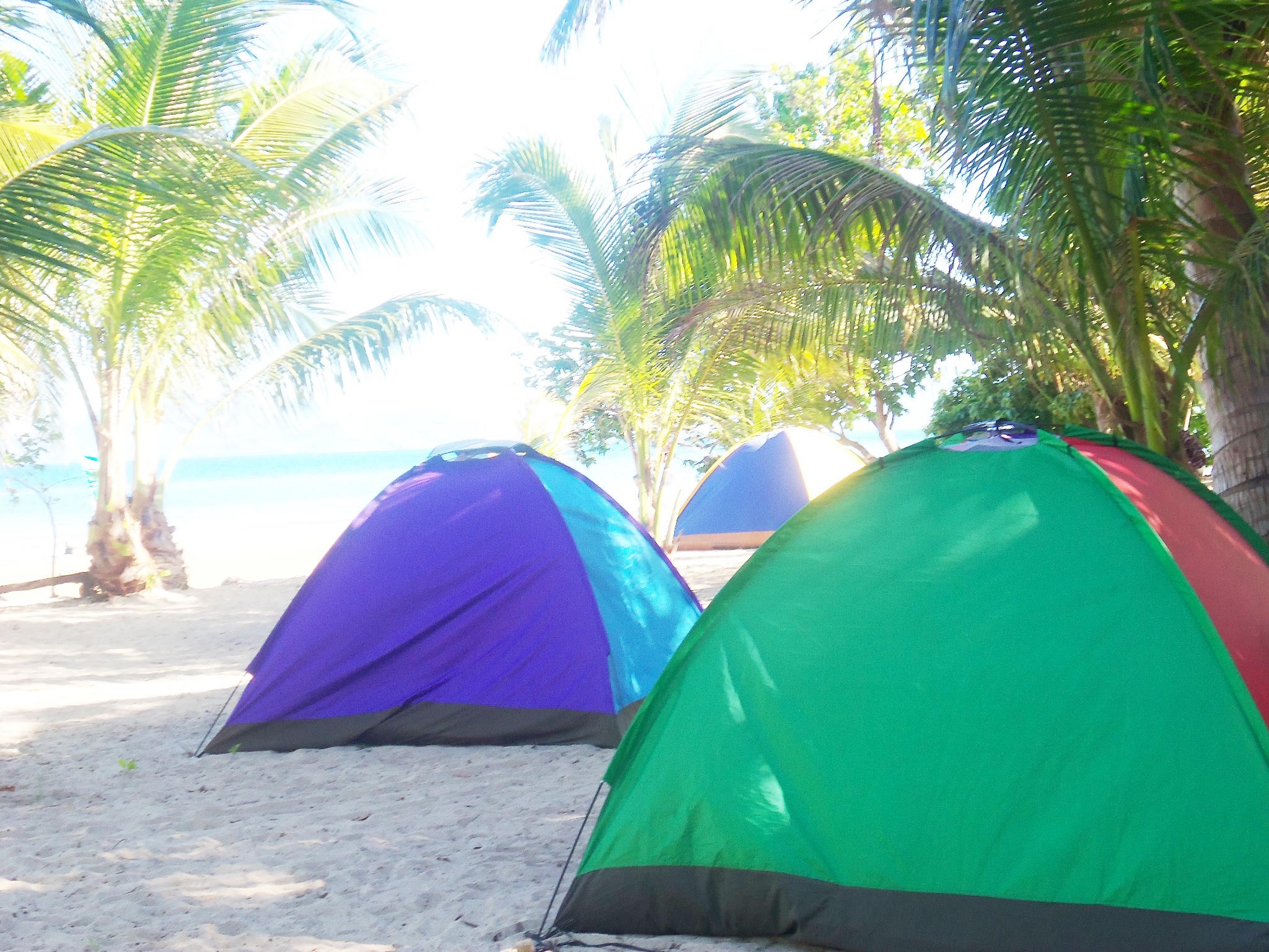 Bayog Beach Campsite