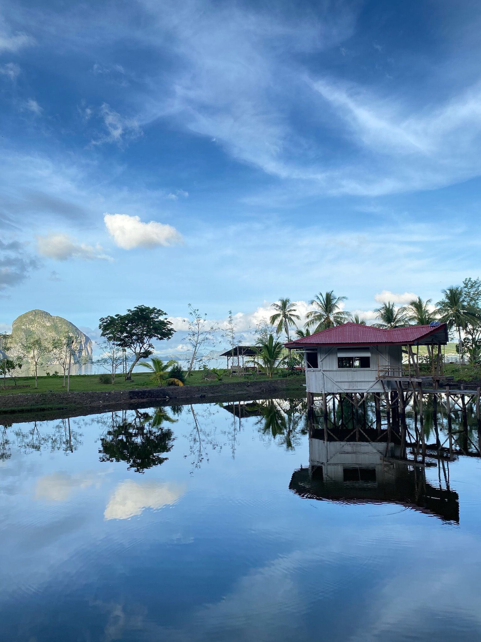 Ced Farm