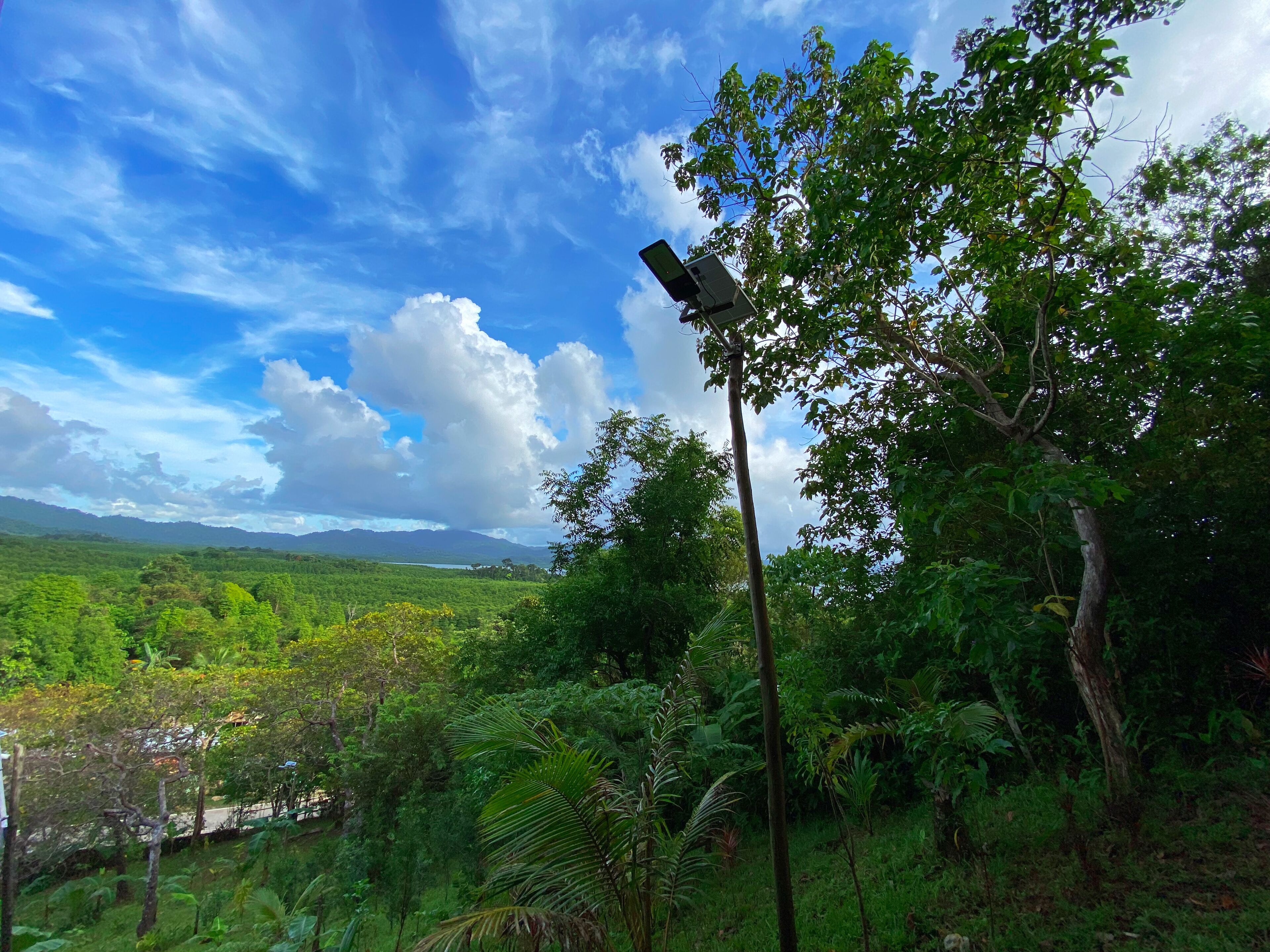 Ced Garden