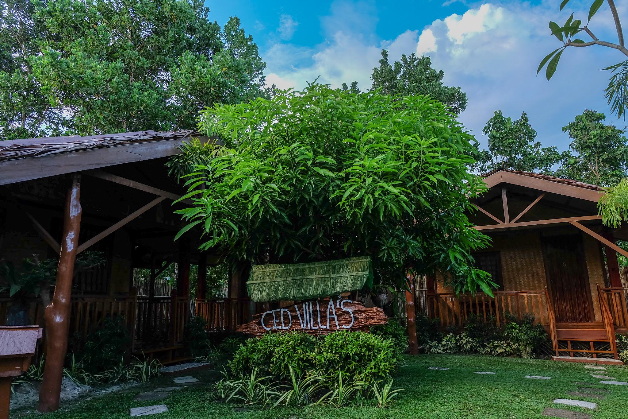 Ced Villas