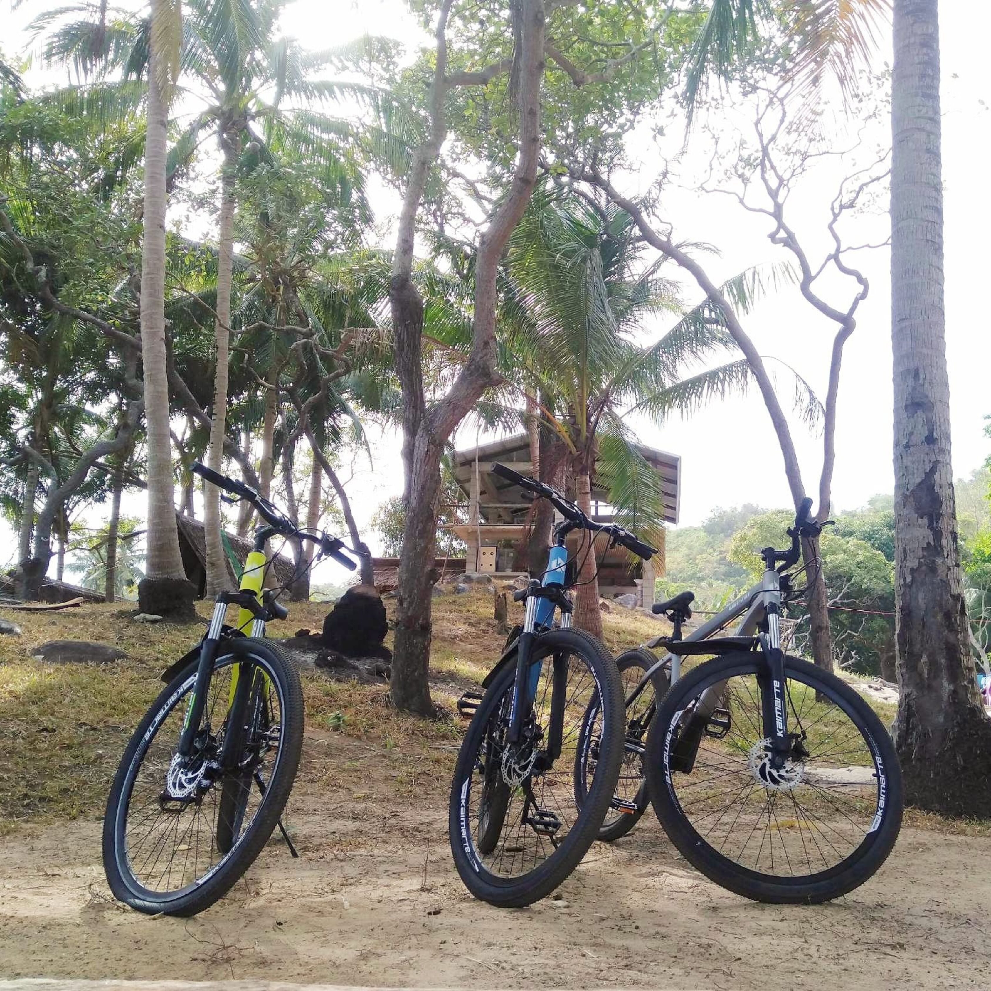 Coraline Coast Beach Resort & Resto-Bar