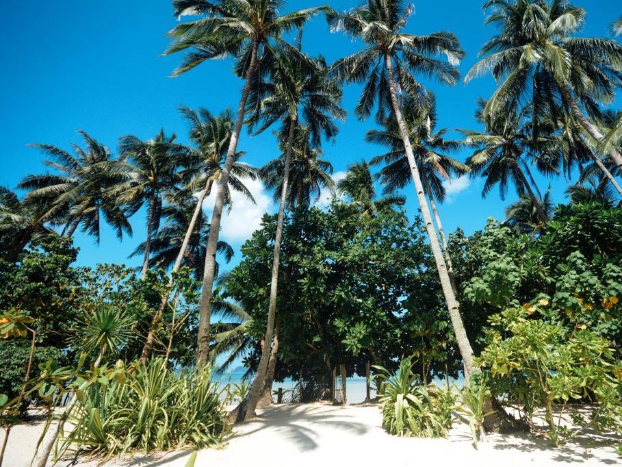 Mahogany Resort & Spa