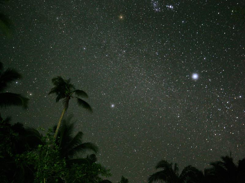 Qi Palawan