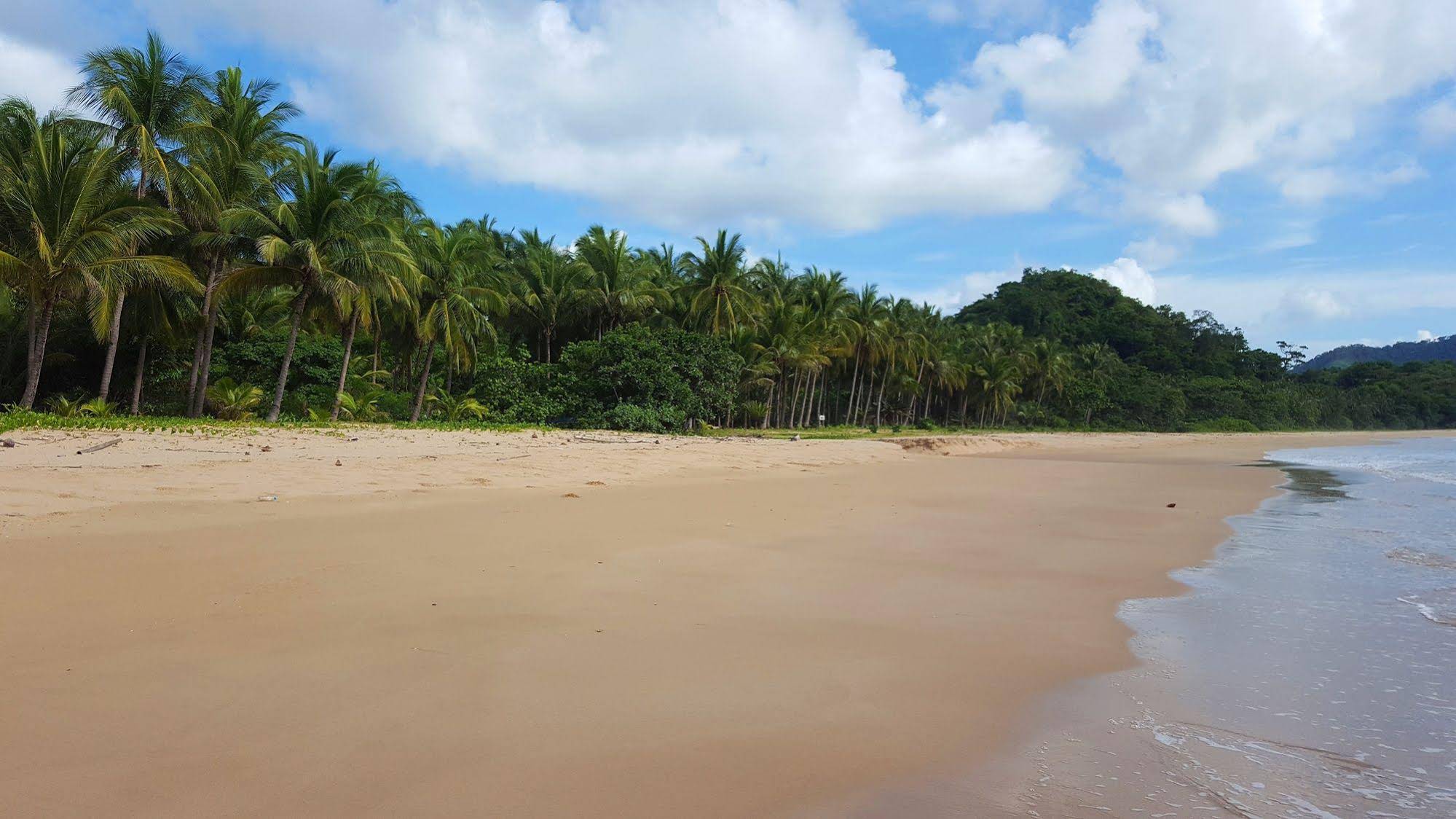 Villa Verde Safari & Pagi Dive Center