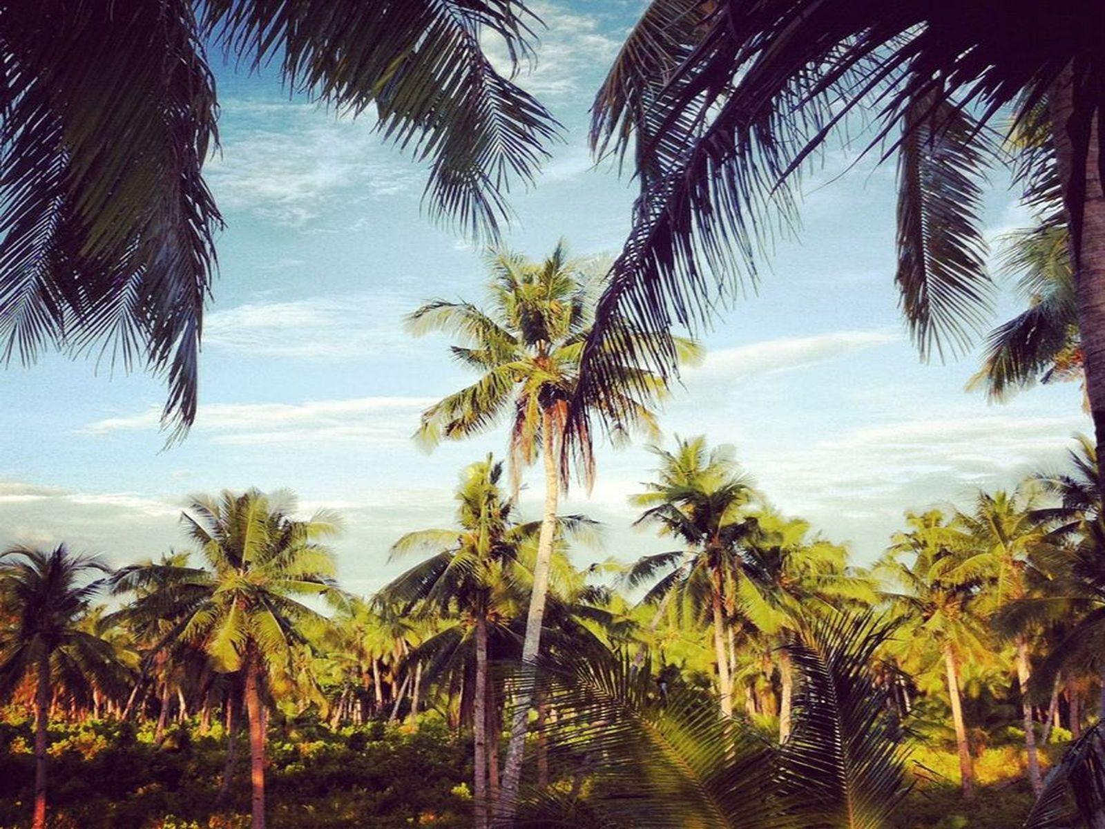 Buddha’s Surf Resort