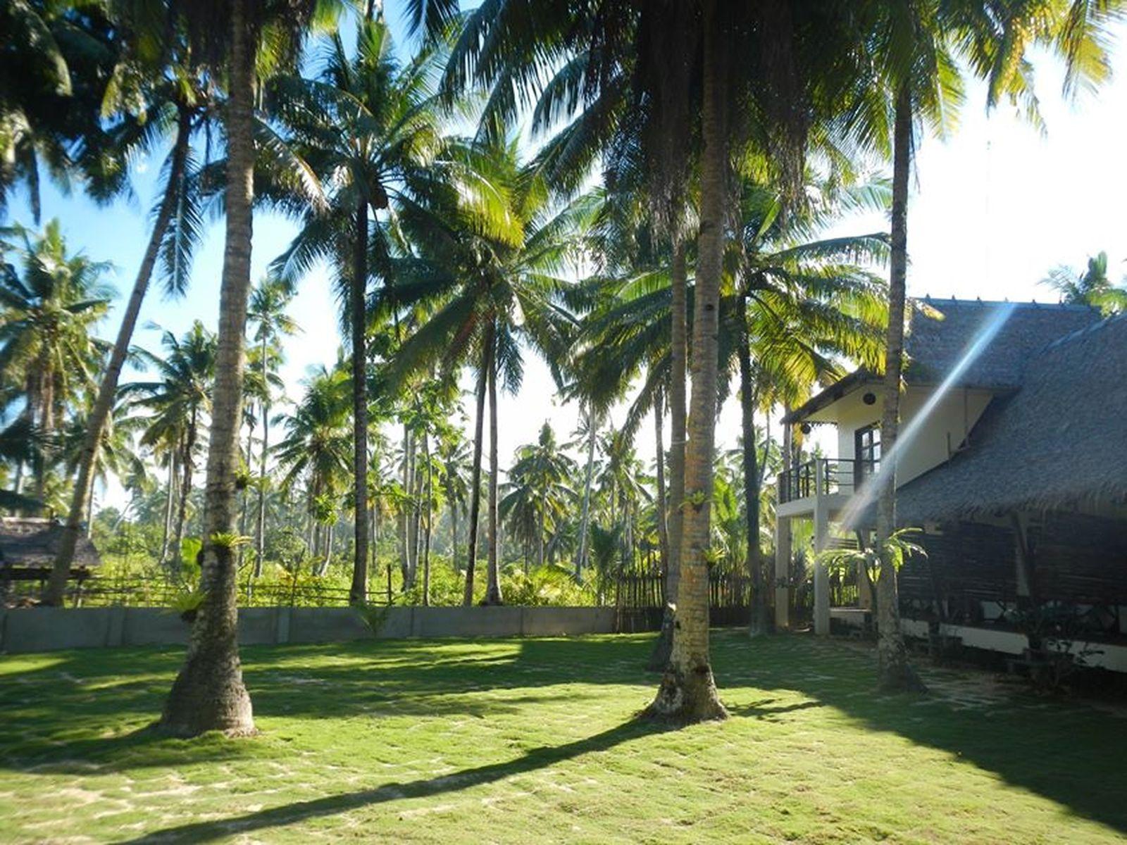 Buddha’s Surf Resort