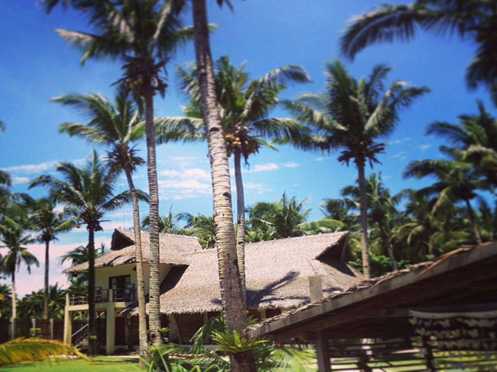 Buddha’s Surf Resort