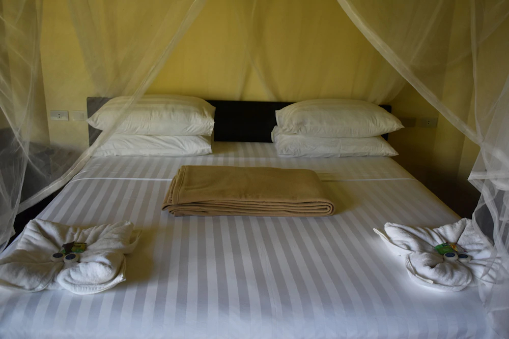 Jonas & Twins Resort