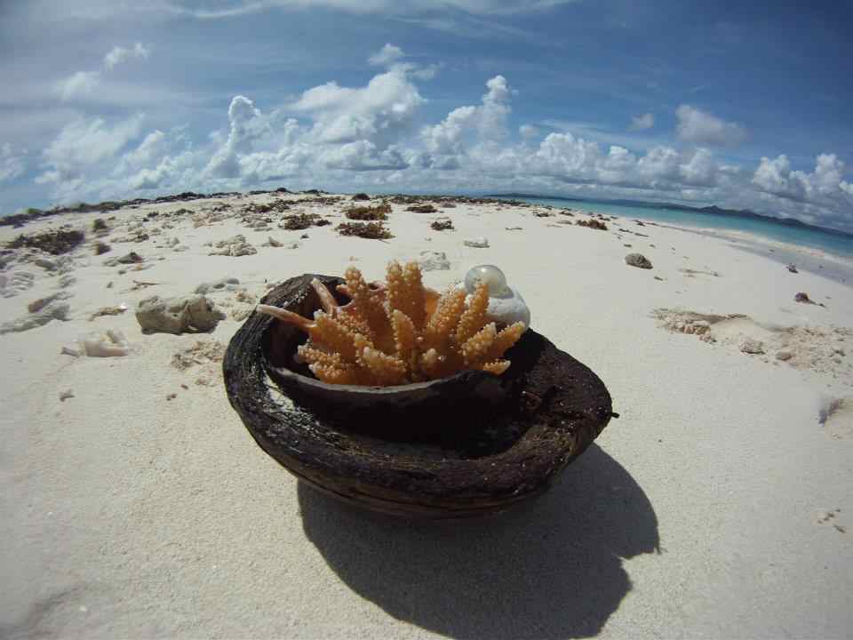 Laluna Island Resort
