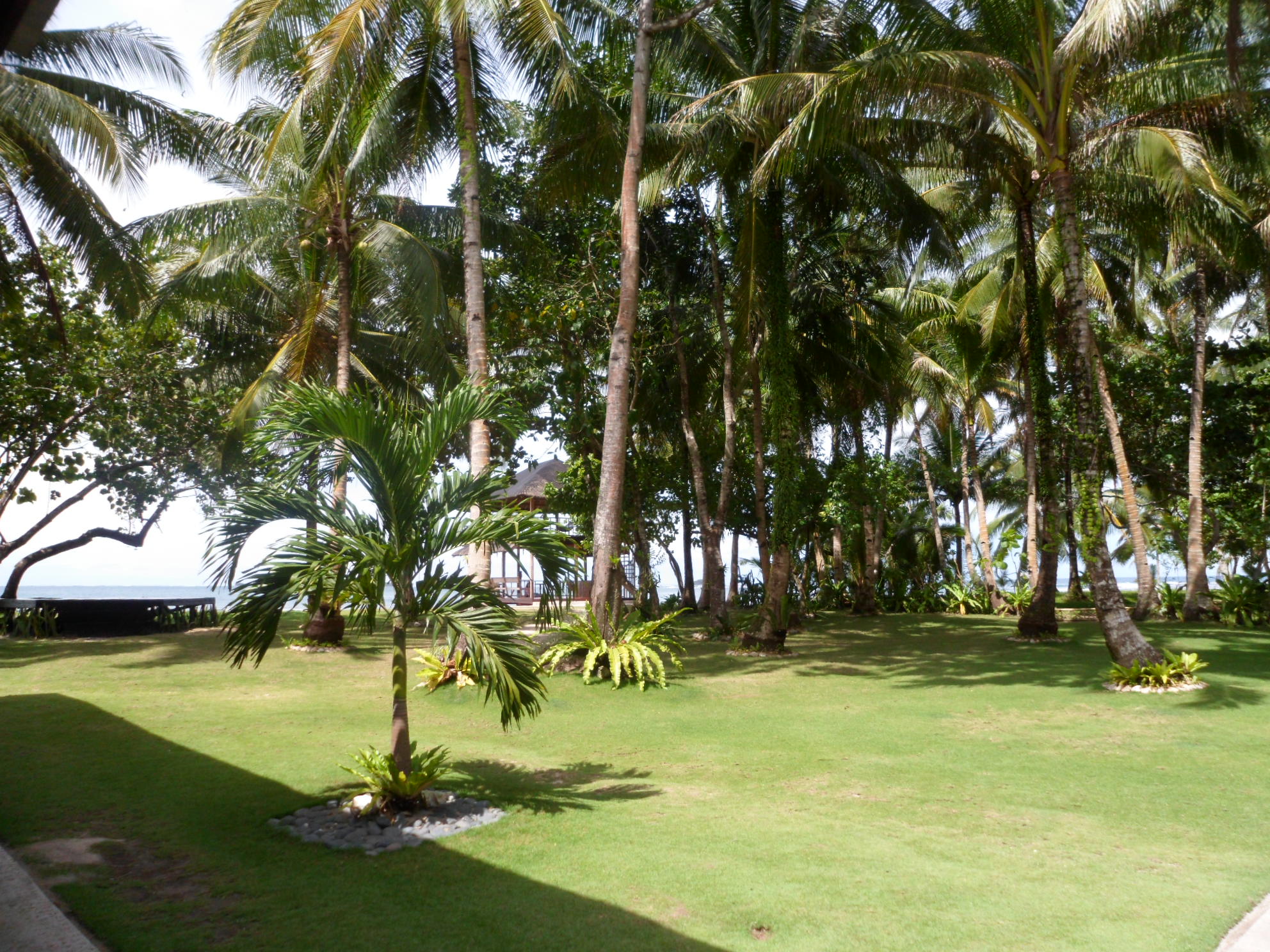 Ocean 101 Beach Resort