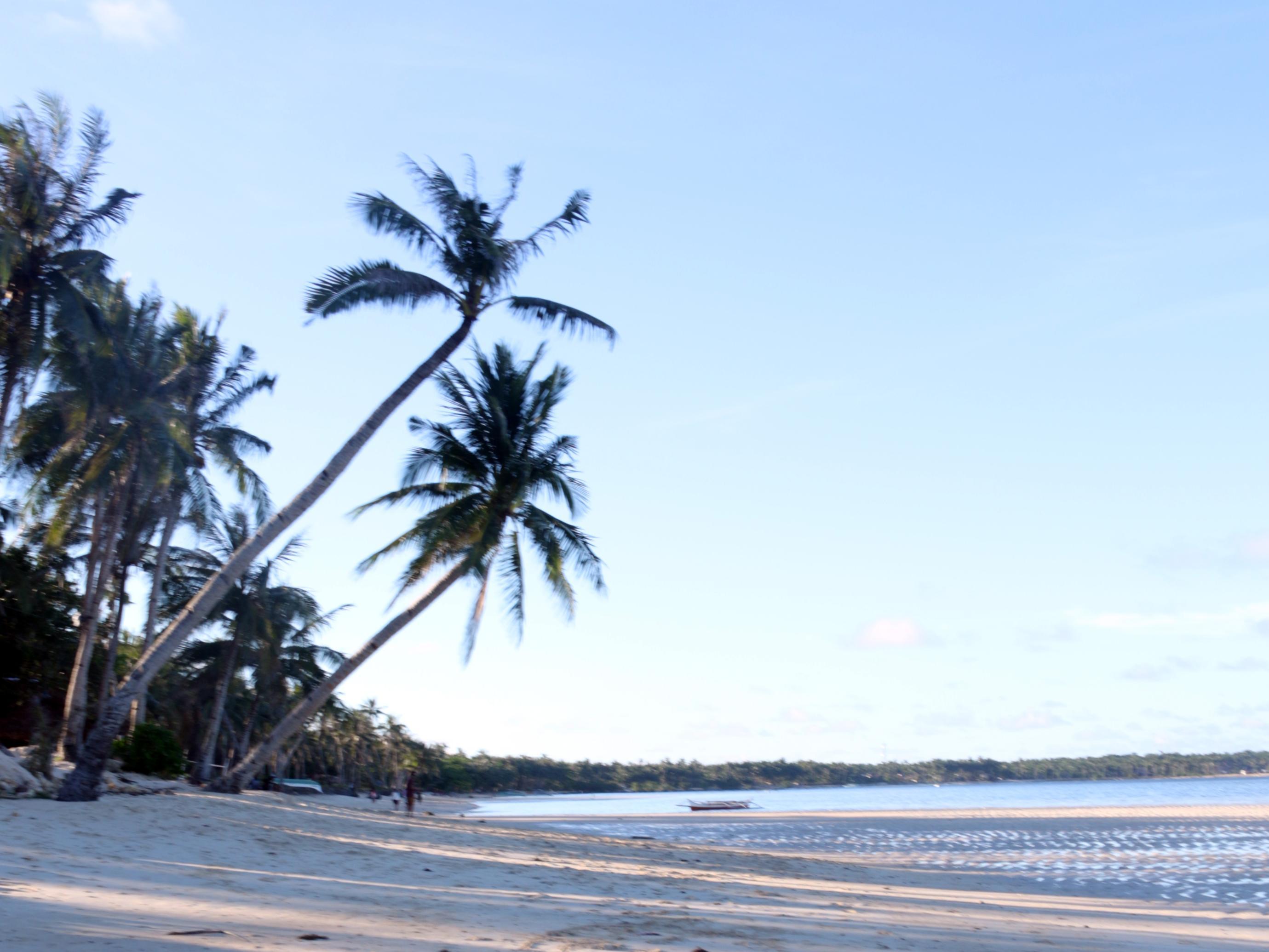 Pesangan Surfcamp Hotel