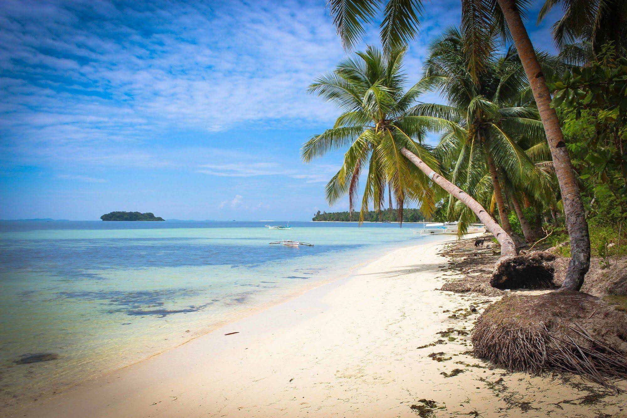 Surfing Carabao Beach Houses
