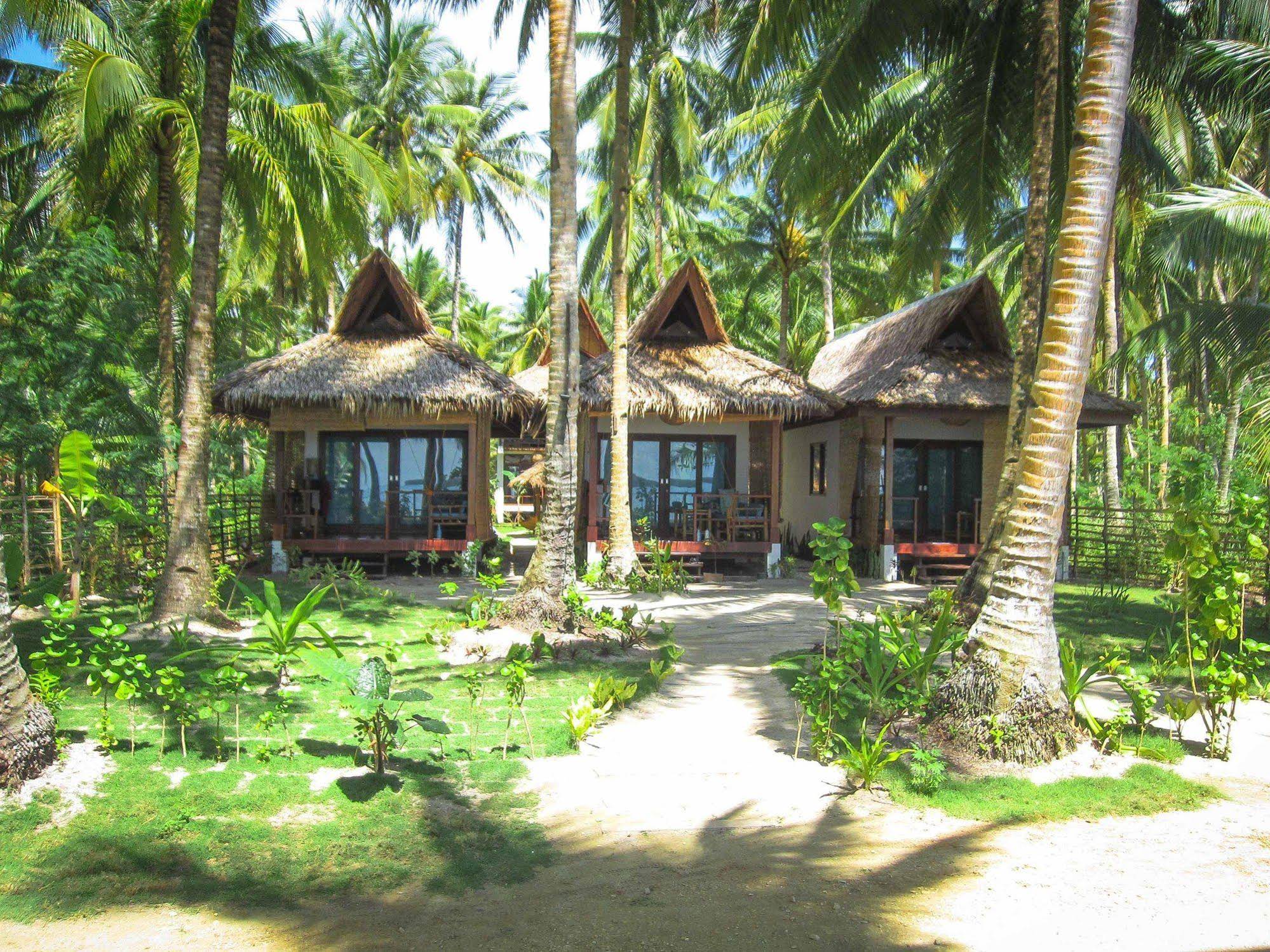 Surfing Carabao Beach Houses