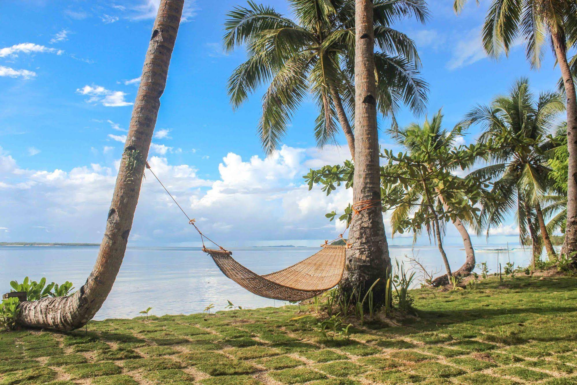 Surfing Carabao Beach Houses