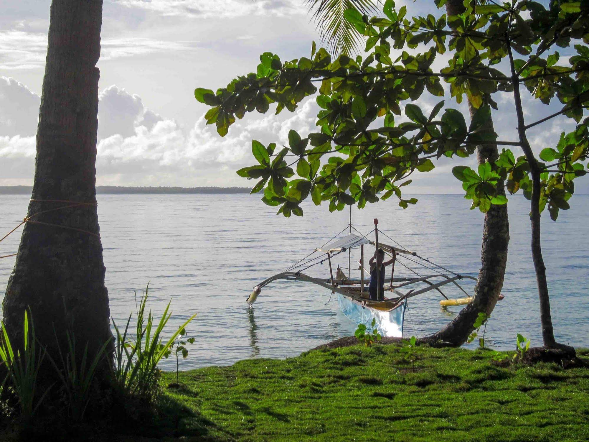 Surfing Carabao Beach Houses