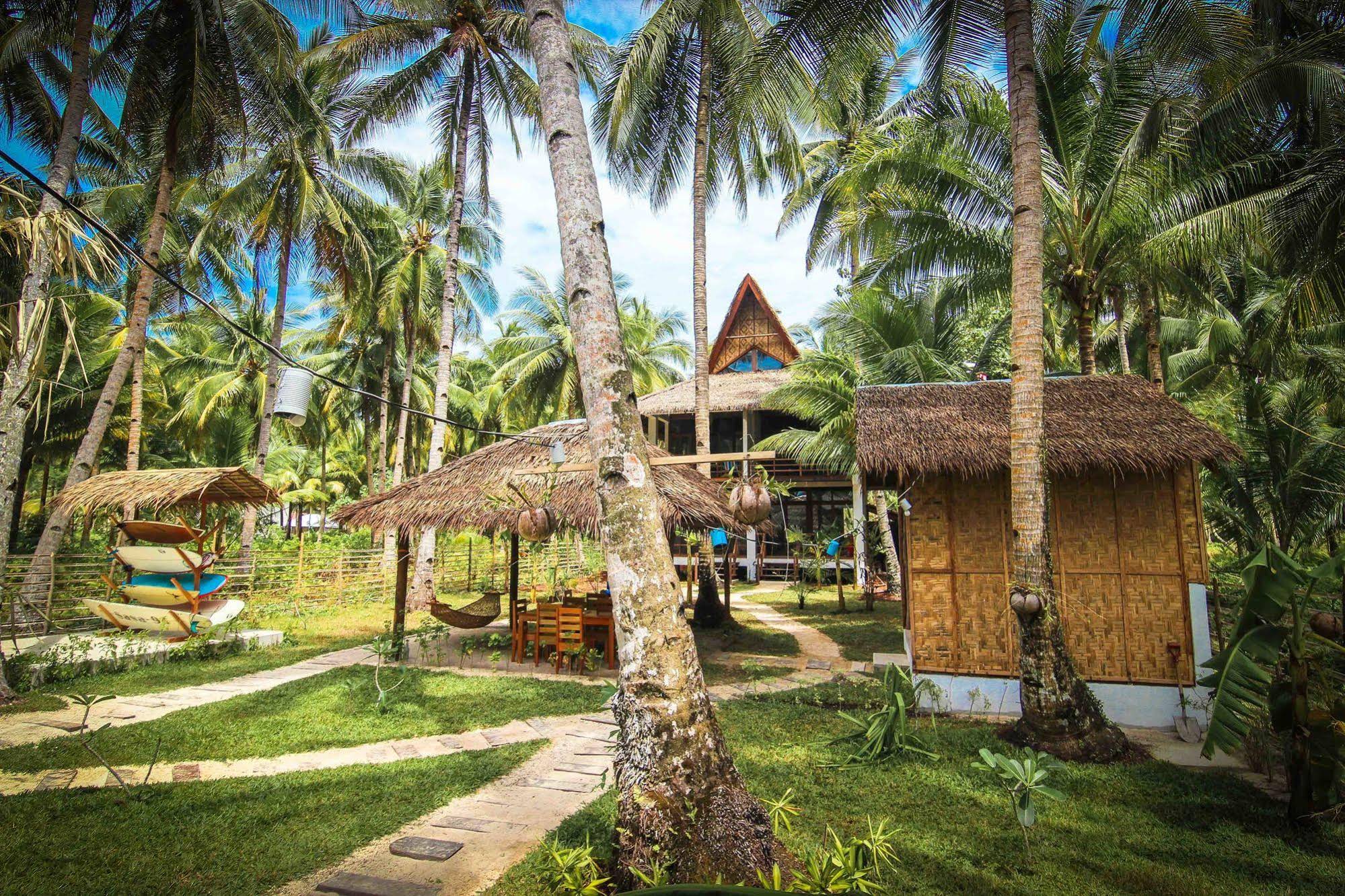 Surfing Carabao Beach Houses