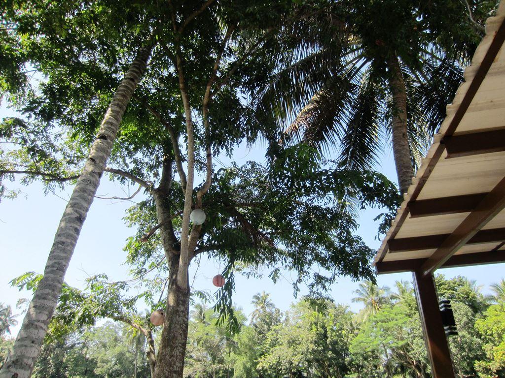 Amandari Cove Hotel