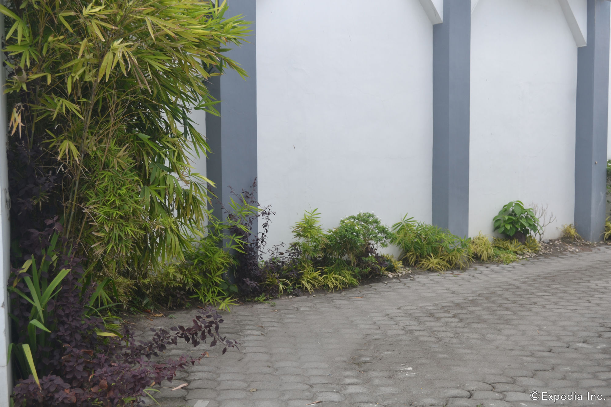 Dolyn Suites