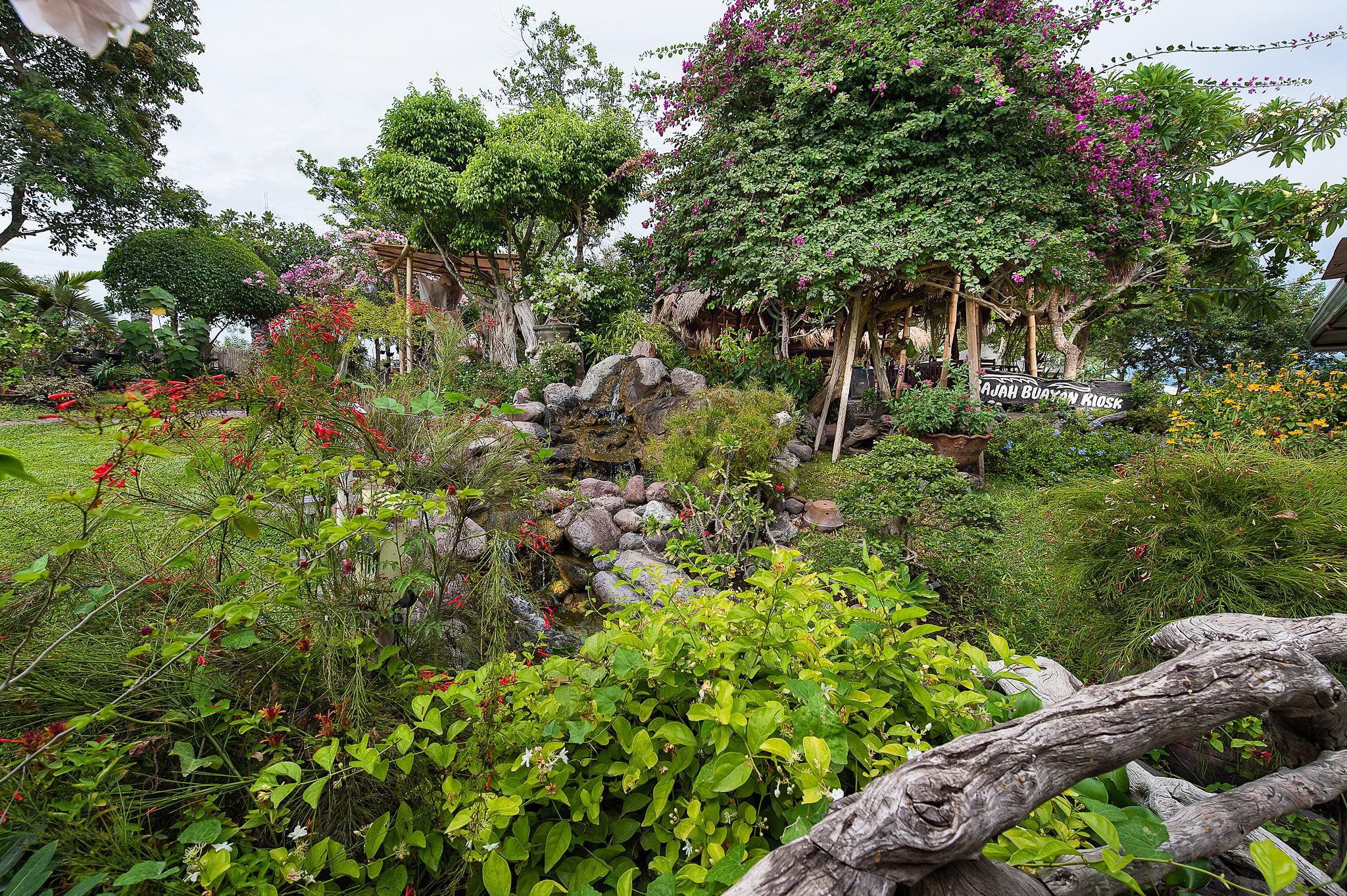 Sarangani Highlands Garden