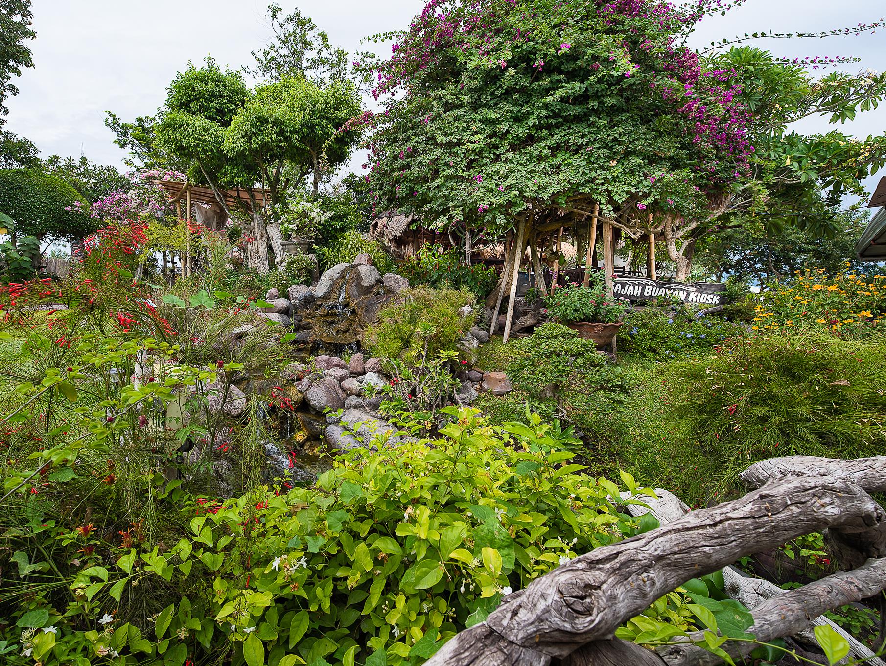 Sarangani Highlands Garden