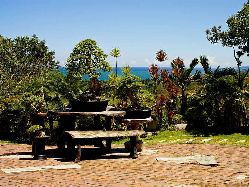 Sarangani Highlands Garden