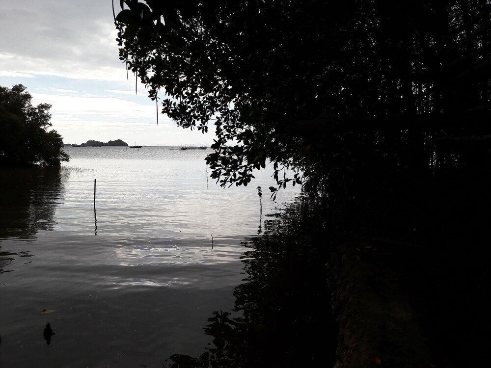 Guimaras Mangrove Guesthouse