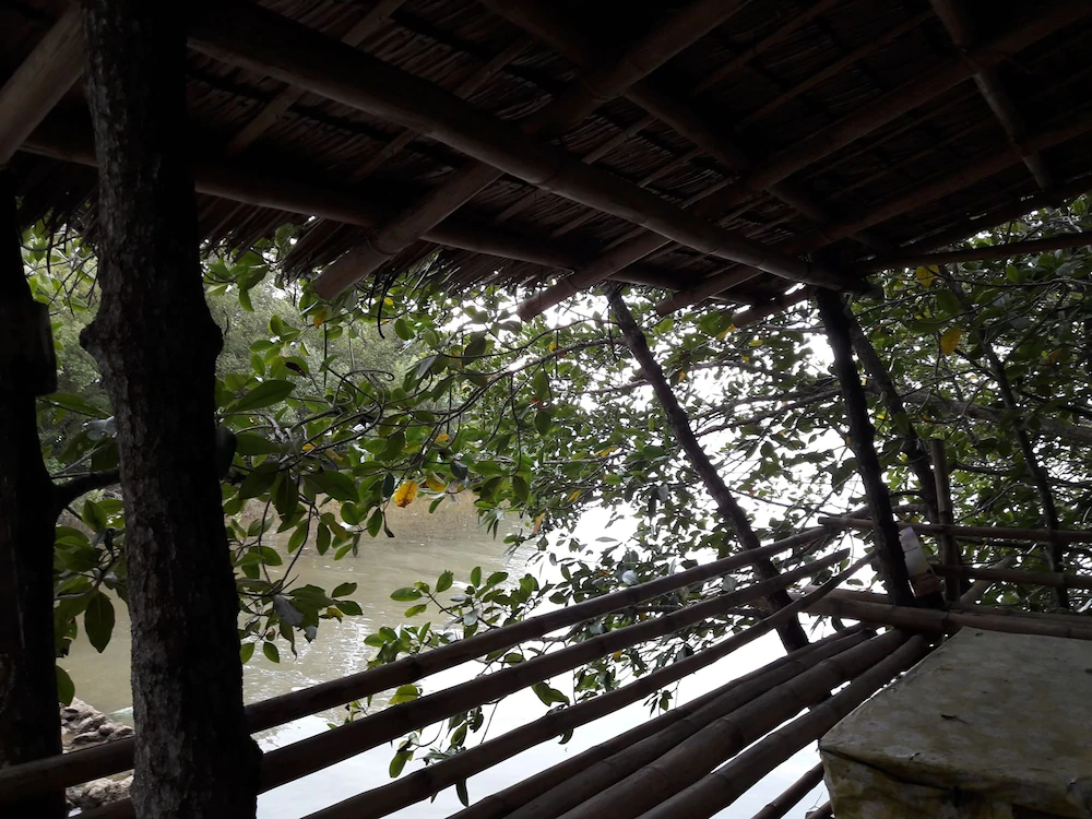 Guimaras Mangrove Guesthouse