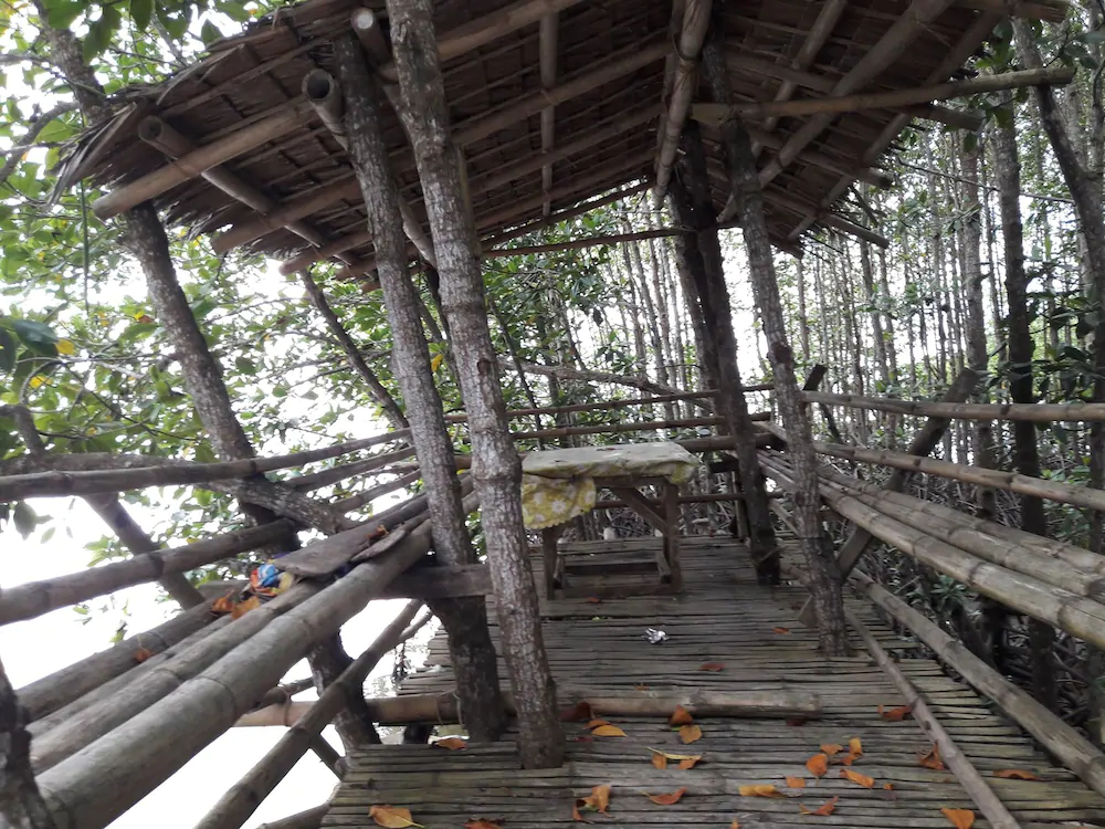 Guimaras Mangrove Guesthouse