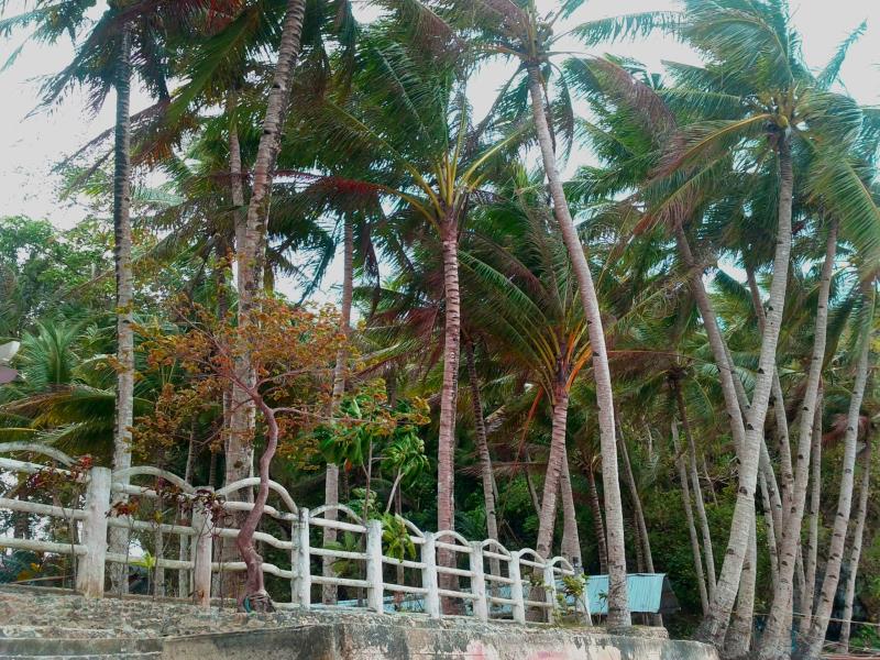 Jannah-Glycel Beach House