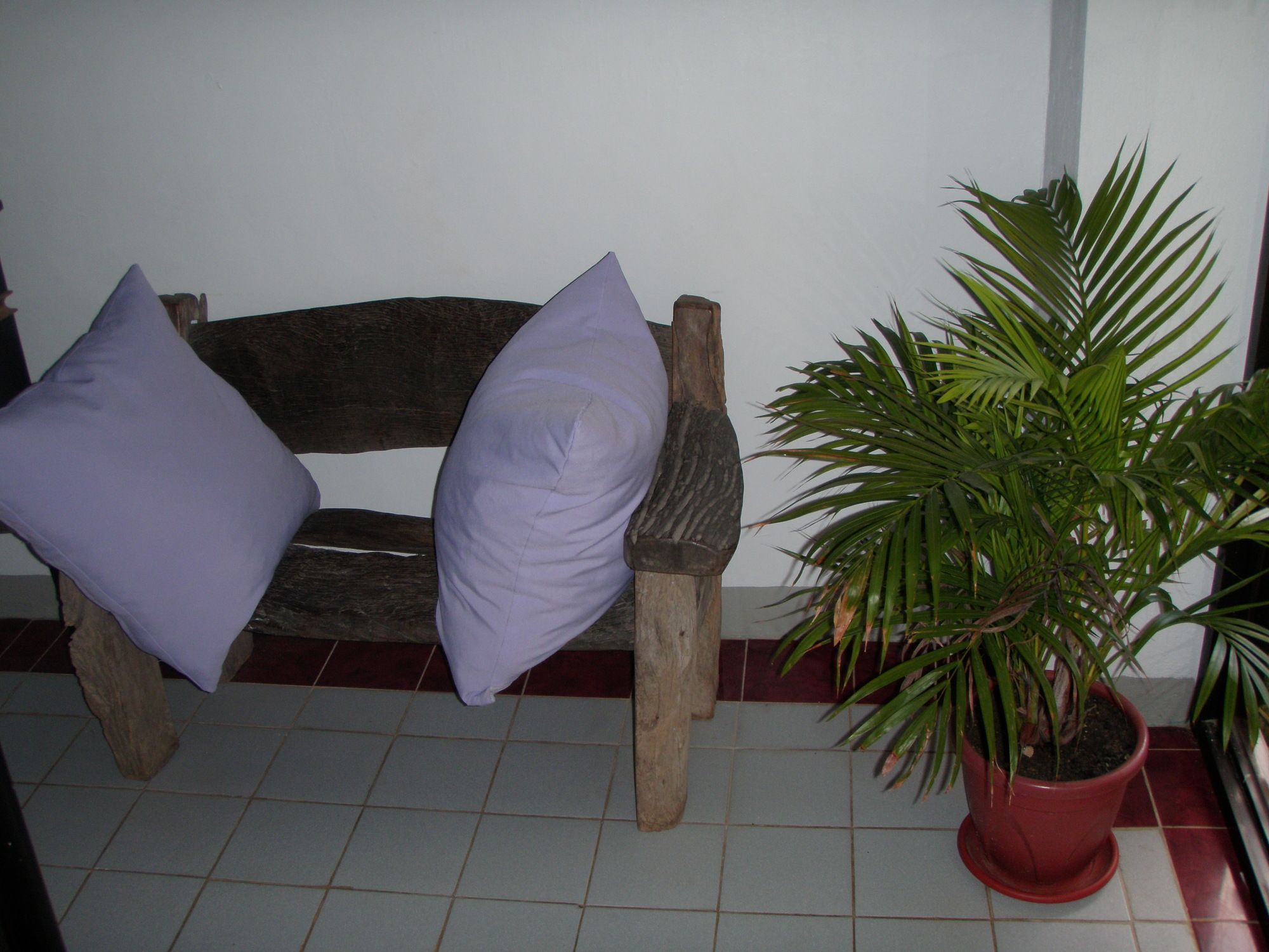 Anthurium Inn